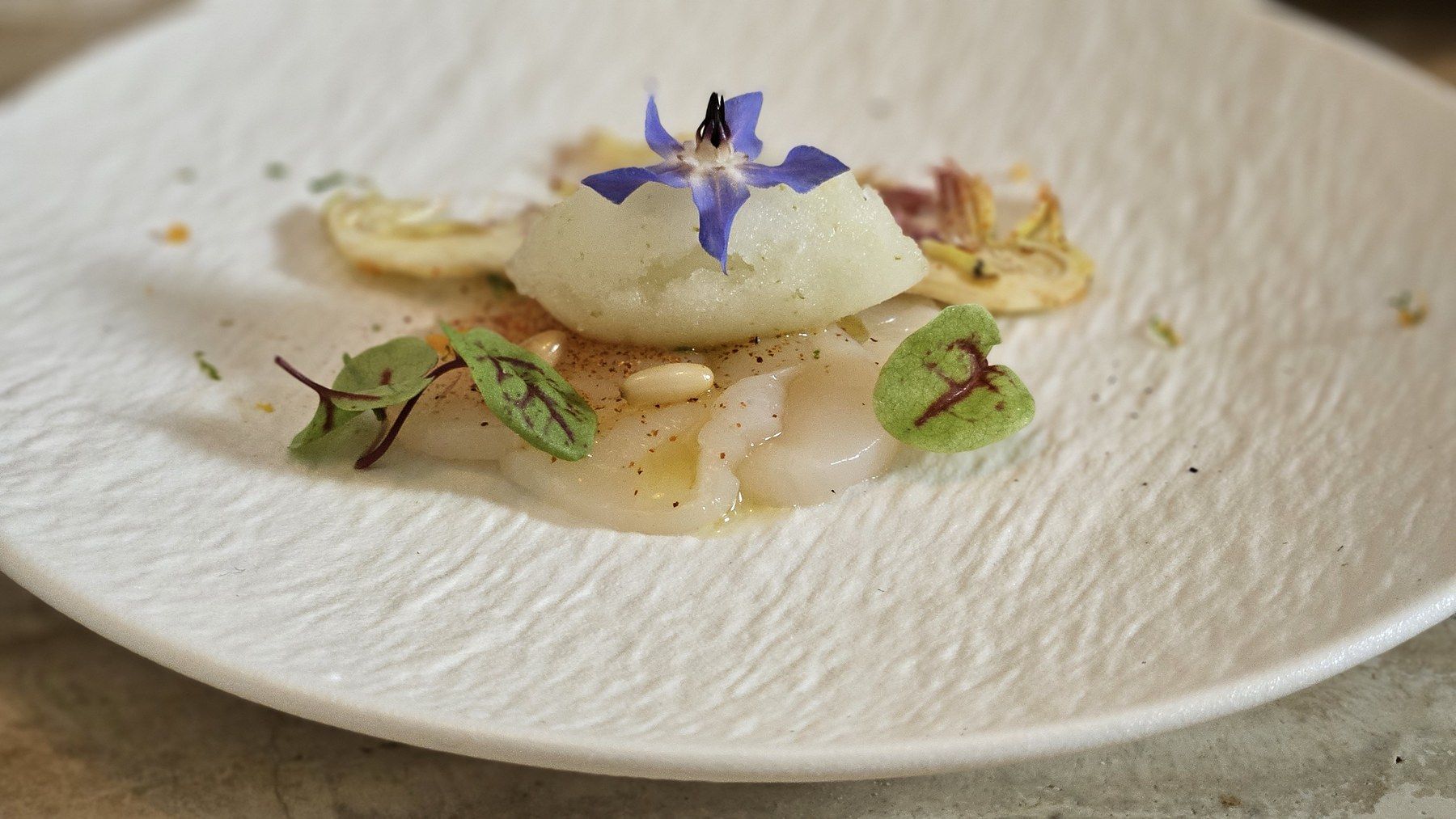 Amuse-bouche on a white plate, with a green herb powder accent.