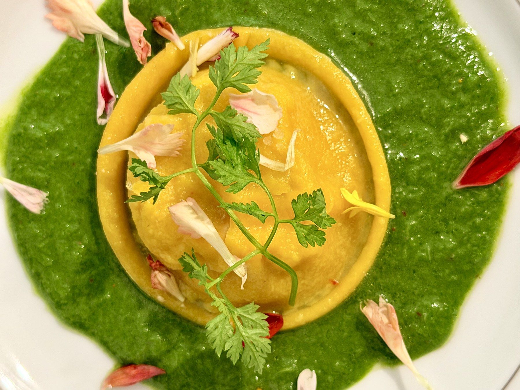 Grande raviole sur coulis vert d’herbes, pétales de fleurs.