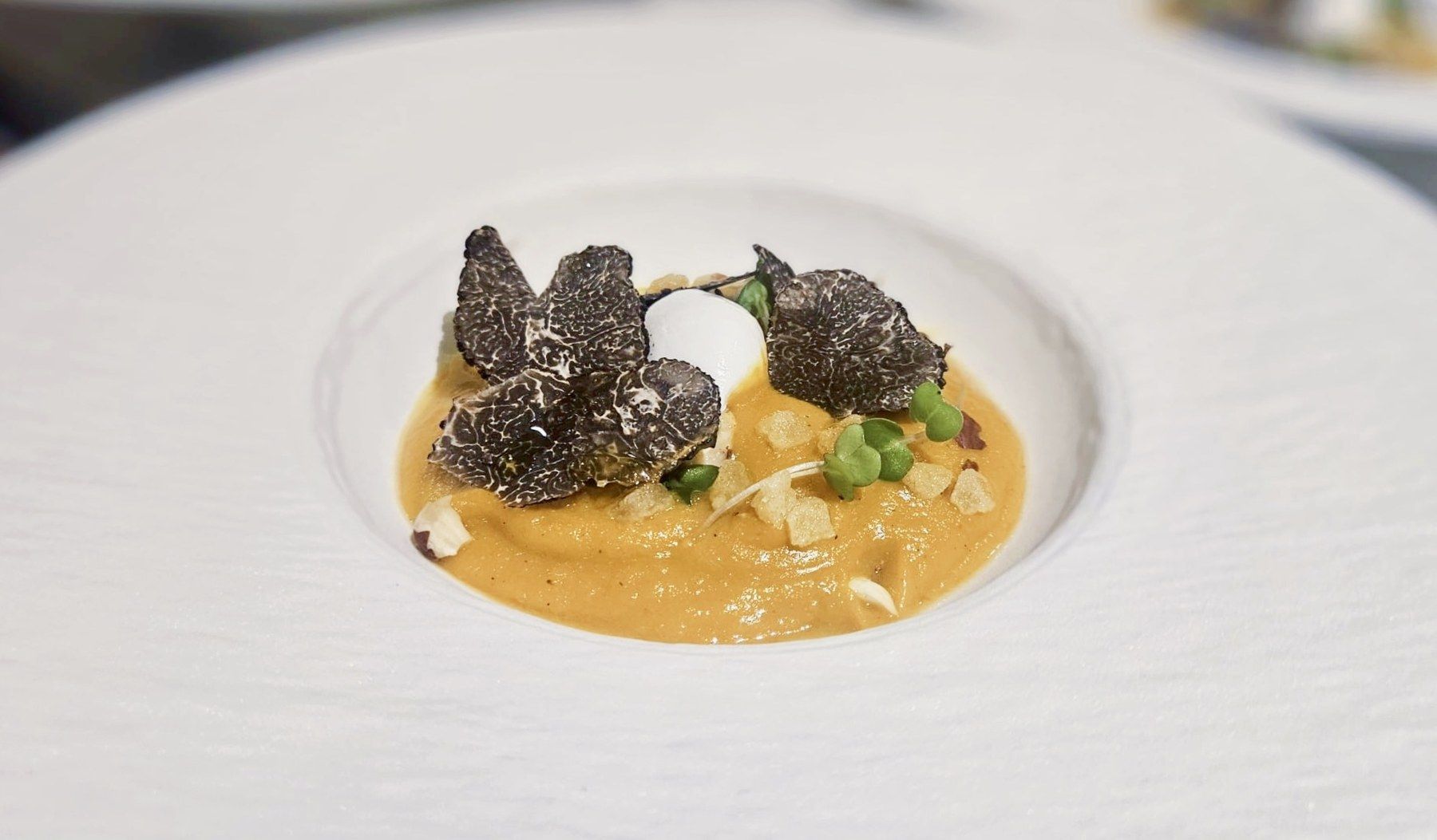 Copeaux de truffe noire sur velouté, assiette creuse.